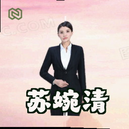 苏婉清